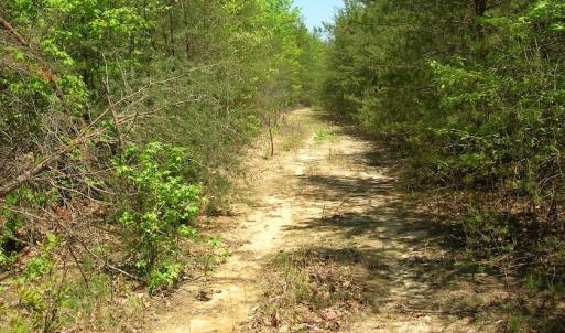 Photo of UNDER CONTRACT!  15 Acres of Hunting and Residential Land For Sale in Prince Edward County VA!