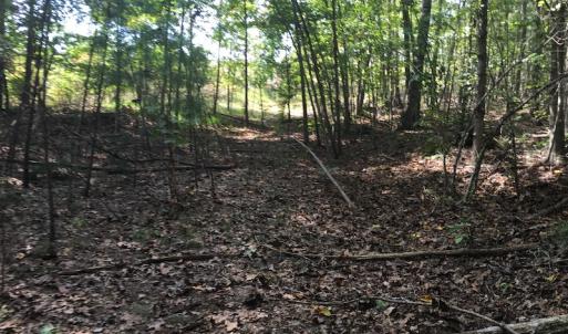 Photo of UNDER CONTRACT!  15 Acres of Hunting and Residential Land For Sale in Prince Edward County VA!