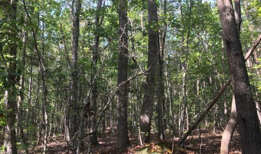 Photo of UNDER CONTRACT!  15 Acres of Hunting and Residential Land For Sale in Prince Edward County VA!