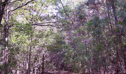 Photo of UNDER CONTRACT!  15 Acres of Hunting and Residential Land For Sale in Prince Edward County VA!