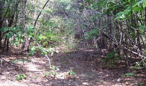 Photo of UNDER CONTRACT!  15 Acres of Hunting and Residential Land For Sale in Prince Edward County VA!