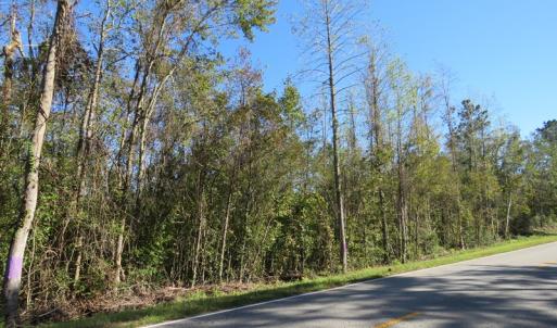 Photo of UNDER CONTRACT!  23 Acres of Hunting Land For Sale in Brunswick County NC!