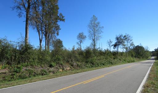 Photo of UNDER CONTRACT!  23 Acres of Hunting Land For Sale in Brunswick County NC!