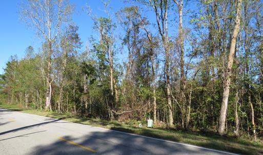 Photo of UNDER CONTRACT!  23 Acres of Hunting Land For Sale in Brunswick County NC!
