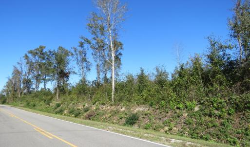 Photo of UNDER CONTRACT!  23 Acres of Hunting Land For Sale in Brunswick County NC!