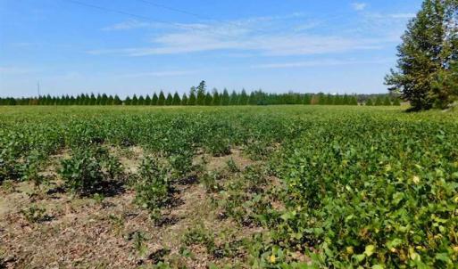 Photo of SOLD!!  0.70 Acre Residential Lot For Sale in Greene County NC!