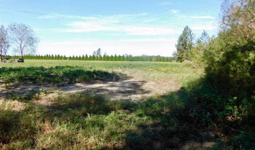 Photo of SOLD!!  0.70 Acre Residential Lot For Sale in Greene County NC!