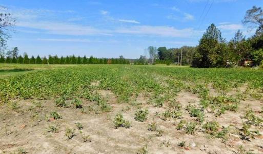 Photo of SOLD!!  0.70 Acre Residential Lot For Sale in Greene County NC!