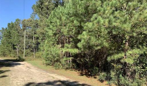 Photo of SOLD!!  3.88 Acre Residential Lot For Sale in Greene County NC!