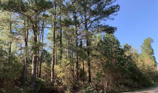 Photo of SOLD!!  0.46 Acre Residential Lot For Sale in Greene County NC!