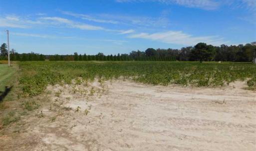 Photo of SOLD!!  0.71 Acre Residential Lot For Sale in Greene County NC!