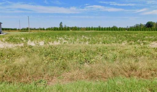 Photo of SOLD!!  0.71 Acre Residential Lot For Sale in Greene County NC!