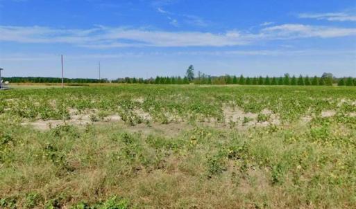 Photo of SOLD!!  0.71 Acre Residential Lot For Sale in Greene County NC!