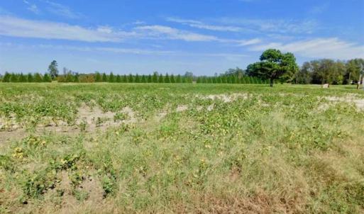 Photo of SOLD!!  0.71 Acre Residential Lot For Sale in Greene County NC!