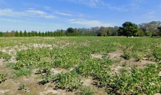 Photo of SOLD!!  0.71 Acre Residential Lot For Sale in Greene County NC!