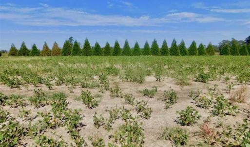 Photo of SOLD!!  0.97 Acre Residential Lot For Sale in Greene County NC!