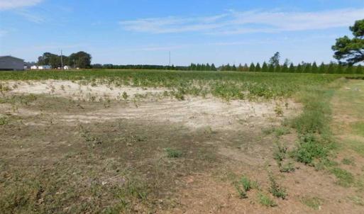 Photo of SOLD!!  0.97 Acre Residential Lot For Sale in Greene County NC!