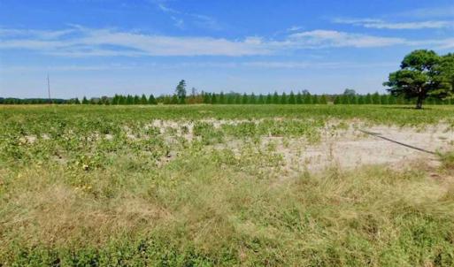 Photo of SOLD!!  0.97 Acre Residential Lot For Sale in Greene County NC!