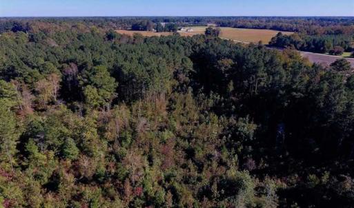 Photo of SOLD!  35.76 Acres of Hunting and Timber Land For Sale in Wilson County NC!