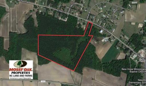 Photo of SOLD!  35.76 Acres of Hunting and Timber Land For Sale in Wilson County NC!