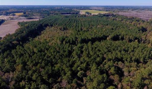 Photo of SOLD!  35.76 Acres of Hunting and Timber Land For Sale in Wilson County NC!