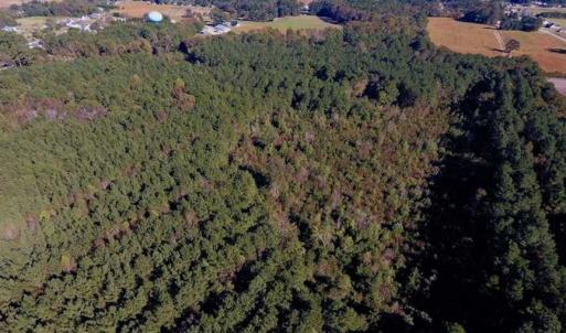 Photo of SOLD!  35.76 Acres of Hunting and Timber Land For Sale in Wilson County NC!