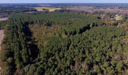 Photo of SOLD!  35.76 Acres of Hunting and Timber Land For Sale in Wilson County NC!
