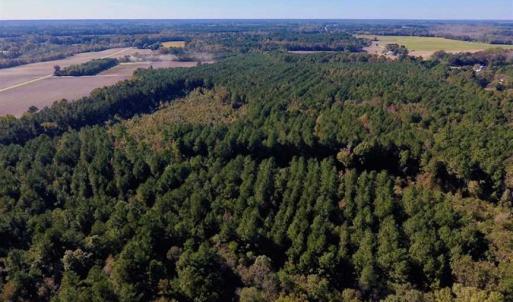 Photo of SOLD!  35.76 Acres of Hunting and Timber Land For Sale in Wilson County NC!