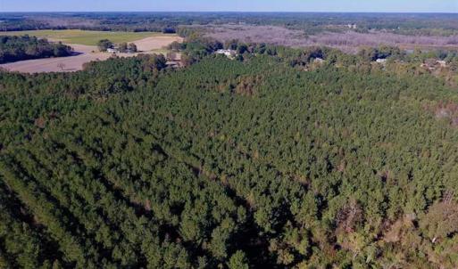 Photo of SOLD!  35.76 Acres of Hunting and Timber Land For Sale in Wilson County NC!