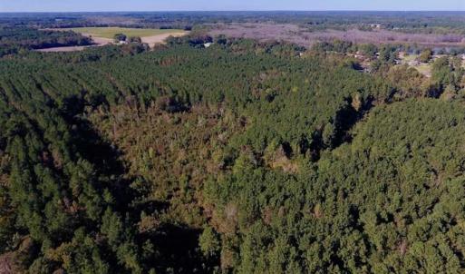 Photo of SOLD!  35.76 Acres of Hunting and Timber Land For Sale in Wilson County NC!