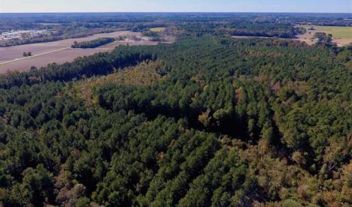 Photo of SOLD!  35.76 Acres of Hunting and Timber Land For Sale in Wilson County NC!