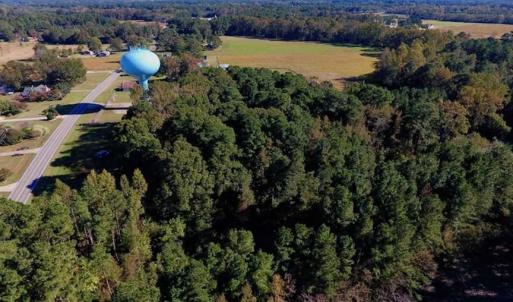 Photo of SOLD!  35.76 Acres of Hunting and Timber Land For Sale in Wilson County NC!