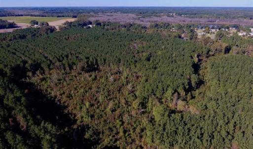 Photo of SOLD!  35.76 Acres of Hunting and Timber Land For Sale in Wilson County NC!