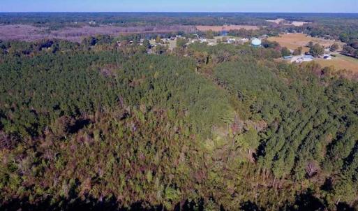 Photo of SOLD!  35.76 Acres of Hunting and Timber Land For Sale in Wilson County NC!