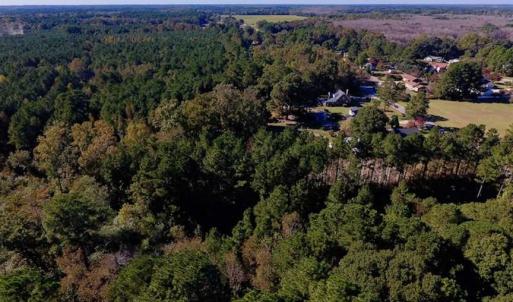 Photo of SOLD!  35.76 Acres of Hunting and Timber Land For Sale in Wilson County NC!