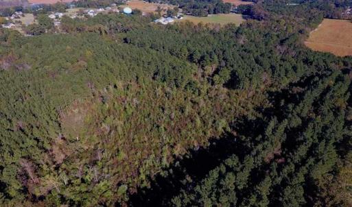 Photo of SOLD!  35.76 Acres of Hunting and Timber Land For Sale in Wilson County NC!