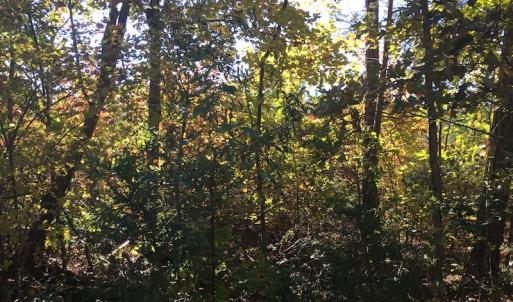 Photo of UNDER CONTRACT!  28 Acres of Residential Hunting Land For Sale in Lunenburg County VA!
