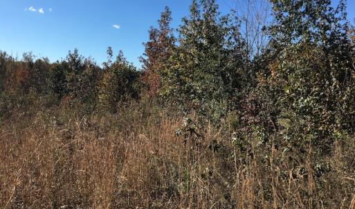 Photo of UNDER CONTRACT!  28 Acres of Residential Hunting Land For Sale in Lunenburg County VA!