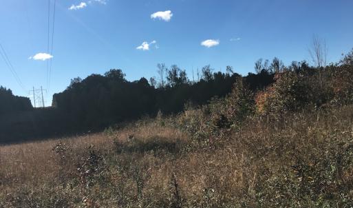 Photo of UNDER CONTRACT!  28 Acres of Residential Hunting Land For Sale in Lunenburg County VA!