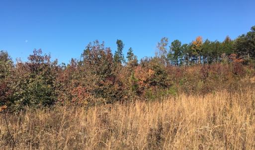 Photo of UNDER CONTRACT!  28 Acres of Residential Hunting Land For Sale in Lunenburg County VA!