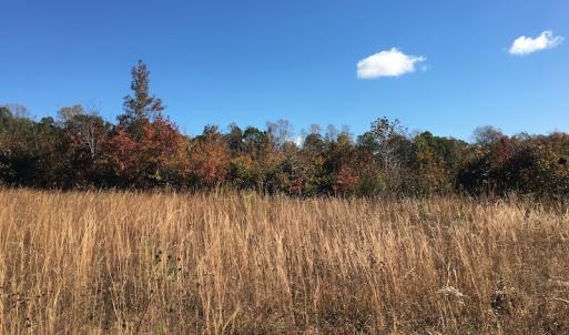 Photo of UNDER CONTRACT!  28 Acres of Residential Hunting Land For Sale in Lunenburg County VA!