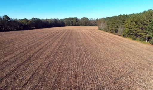 Photo of SOLD!!  18 Acres of Farm and Timber Land For Sale in Robeson County NC!