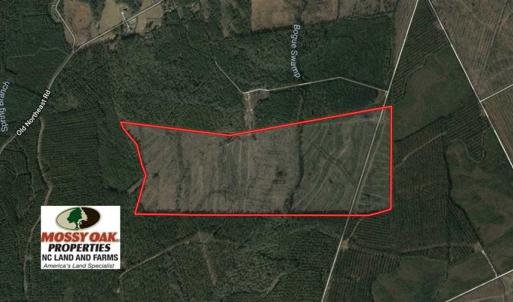 Photo of SOLD!!  209.65 Acres of Hunting and Timber Land For Sale in Columbus County NC!