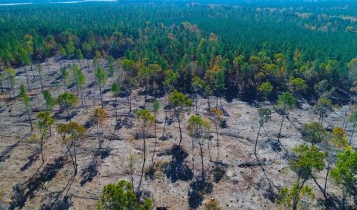 Photo of UNDER CONTRACT!  10.17 Acres of Residential Land For Sale in Lee County NC!