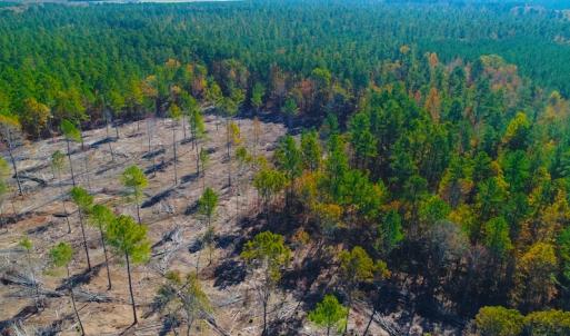 Photo of UNDER CONTRACT!  10.17 Acres of Residential Land For Sale in Lee County NC!