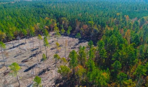 Photo of UNDER CONTRACT!  10.17 Acres of Residential Land For Sale in Lee County NC!