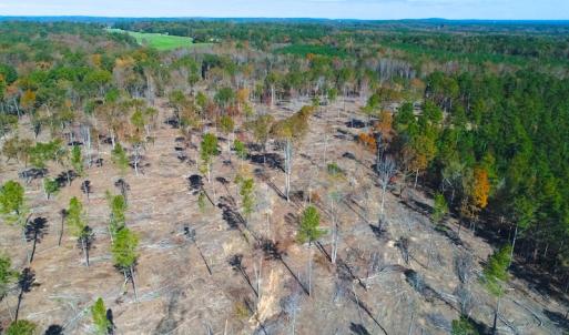 Photo of UNDER CONTRACT!  10.17 Acres of Residential Land For Sale in Lee County NC!