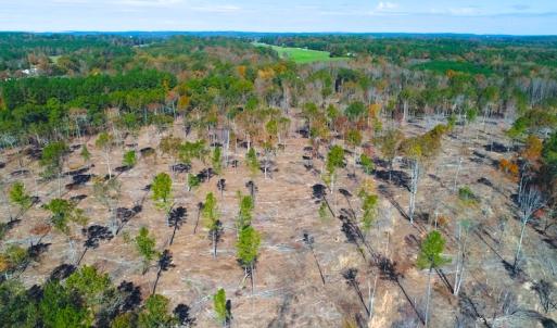 Photo of UNDER CONTRACT!  10.17 Acres of Residential Land For Sale in Lee County NC!