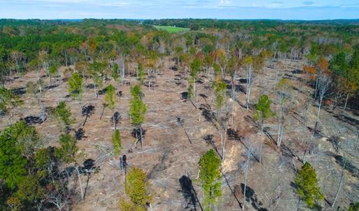 Photo of UNDER CONTRACT!  10.17 Acres of Residential Land For Sale in Lee County NC!