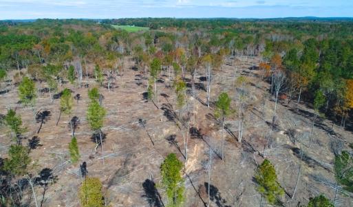 Photo of UNDER CONTRACT!  10.17 Acres of Residential Land For Sale in Lee County NC!